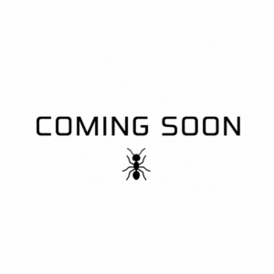 Acromyrmex echinatior